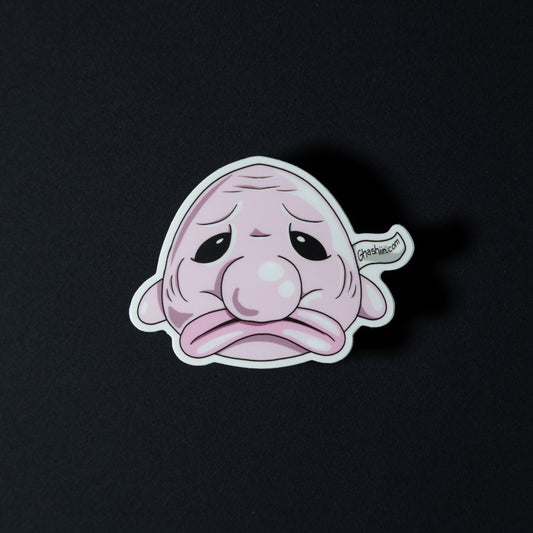 Lil Friends (3-Pack)